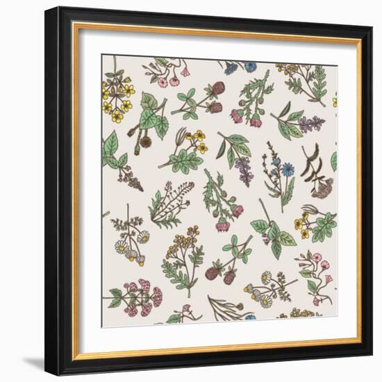 Seamless Pattern of Various Hand Drawn Herbs and Flowers-ONYXprj-Framed Art Print