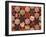 Seamless Texture of Spices on Black Background-Andrii Gorulko-Framed Photographic Print