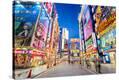 Stretched Canvas Print