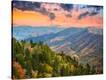 Stretched Canvas Print