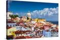 Stretched Canvas Print