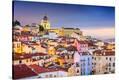 Stretched Canvas Print