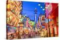 Stretched Canvas Print