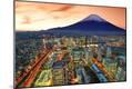 Photographic Print