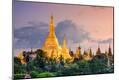 Premium Photographic Print