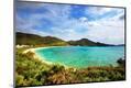 Premium Photographic Print