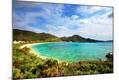 Photographic Print