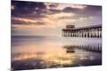 Premium Photographic Print