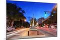 Photographic Print