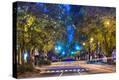 Stretched Canvas Print