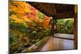 Photographic Print