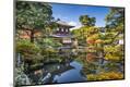 Premium Photographic Print
