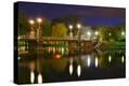 Stretched Canvas Print