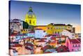 Stretched Canvas Print