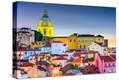 Stretched Canvas Print
