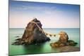 Photographic Print
