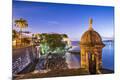 Photographic Print