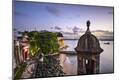 Photographic Print