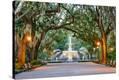 Stretched Canvas Print