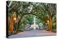 Stretched Canvas Print