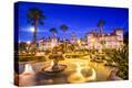 Stretched Canvas Print