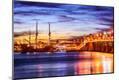 Photographic Print