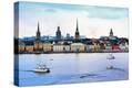 Stretched Canvas Print