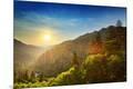 Photographic Print