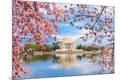 Premium Photographic Print