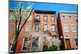 Photographic Print