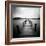 Seapack-Craig Roberts-Framed Photographic Print