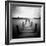 Seapack-Craig Roberts-Framed Photographic Print