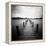 Seapack-Craig Roberts-Framed Premier Image Canvas