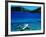 Seaplane in Water Between Yasawa and Sawa-I-Lau Islands, Fiji-Mark Daffey-Framed Photographic Print