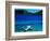 Seaplane in Water Between Yasawa and Sawa-I-Lau Islands, Fiji-Mark Daffey-Framed Photographic Print