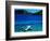 Seaplane in Water Between Yasawa and Sawa-I-Lau Islands, Fiji-Mark Daffey-Framed Photographic Print