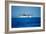 Seaplane Landing-Matthew Oldfield-Framed Photographic Print