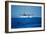 Seaplane Landing-Matthew Oldfield-Framed Photographic Print