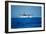 Seaplane Landing-Matthew Oldfield-Framed Photographic Print