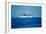 Seaplane Landing-Matthew Oldfield-Framed Photographic Print