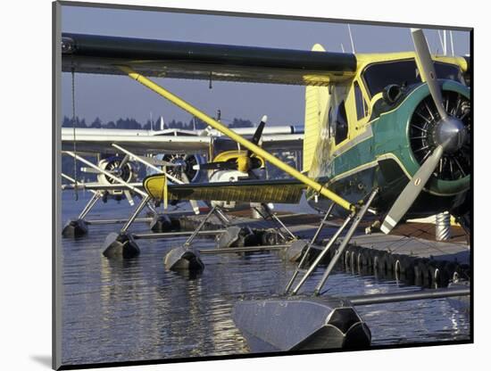 Seaplanes Docked on Lake Washington, Seattle, Washington, USA-Merrill Images-Mounted Photographic Print