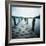 Seapod-Craig Roberts-Framed Photographic Print