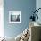 Seapod-Craig Roberts-Framed Photographic Print displayed on a wall