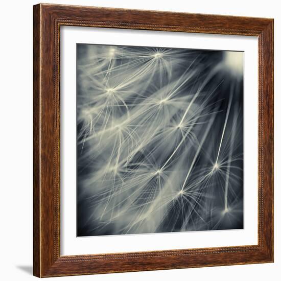 Search for Light-Ursula Abresch-Framed Photographic Print