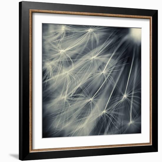 Search for Light-Ursula Abresch-Framed Photographic Print