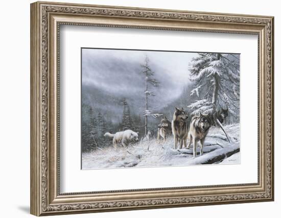 Search for Survival-Kevin Daniel-Framed Art Print