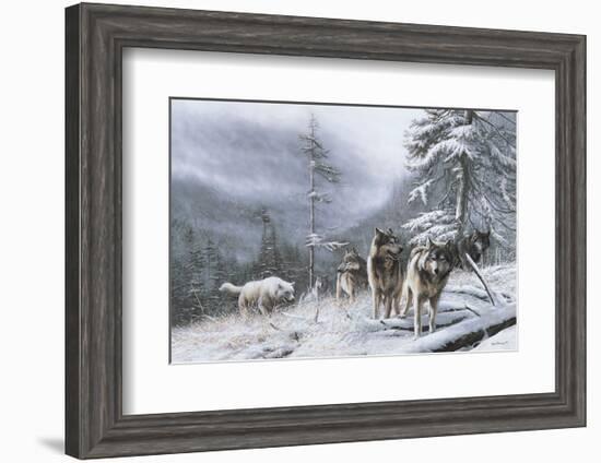 Search for Survival-Kevin Daniel-Framed Art Print