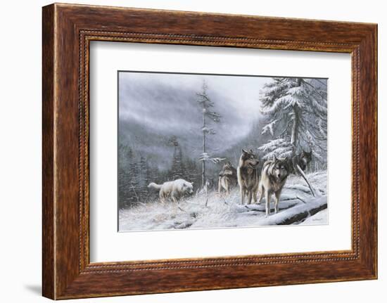 Search for Survival-Kevin Daniel-Framed Art Print