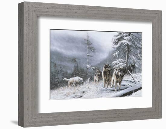 Search for Survival-Kevin Daniel-Framed Art Print