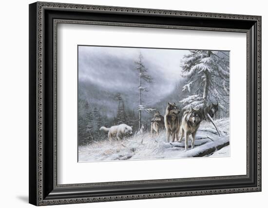 Search for Survival-Kevin Daniel-Framed Art Print